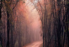 防冻玻璃水的作用：冬季汽车保养的必备品